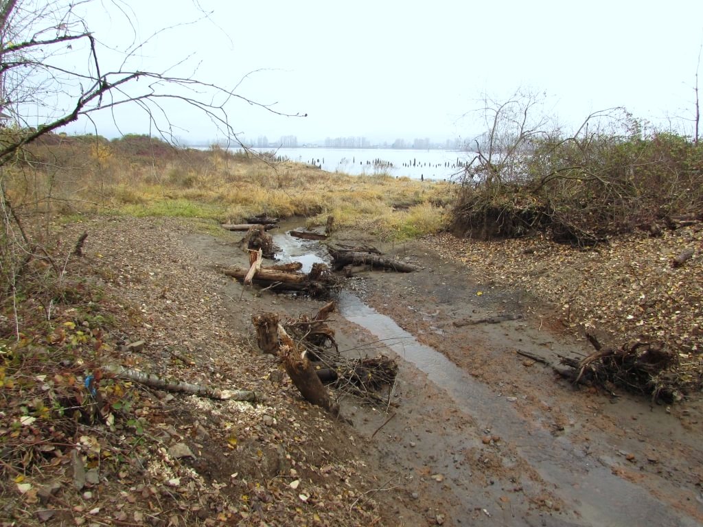 Dalton Lake bridge restoration st. helens oregon columbia county northwest