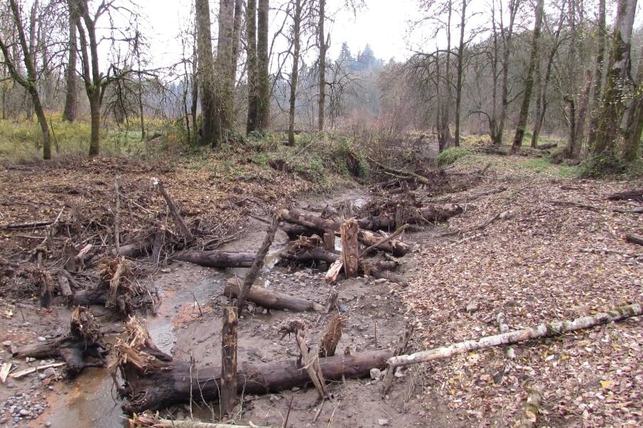 Dalton Lake bridge restoration st. helens oregon columbia county northwest