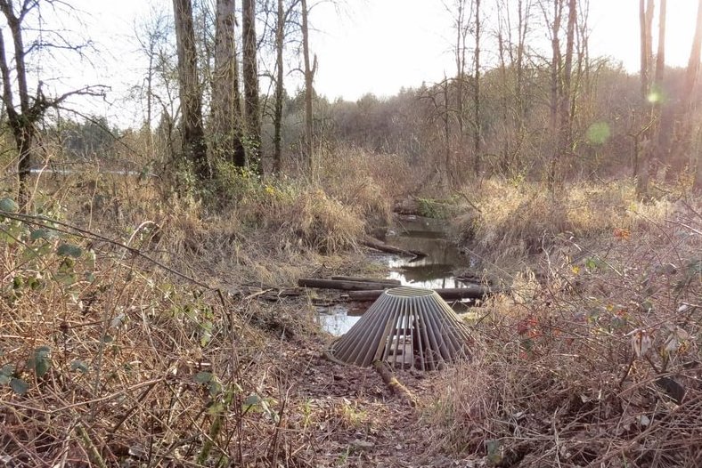 Dalton Lake bridge restoration st. helens oregon columbia county northwest