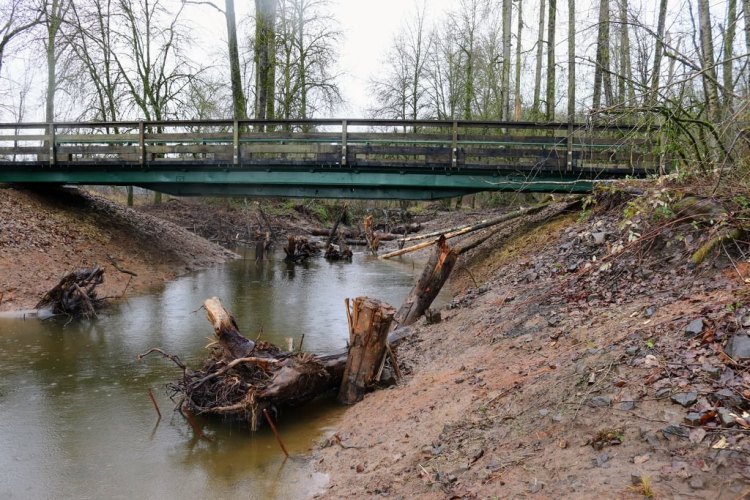 Dalton Lake bridge restoration st. helens oregon columbia county northwest