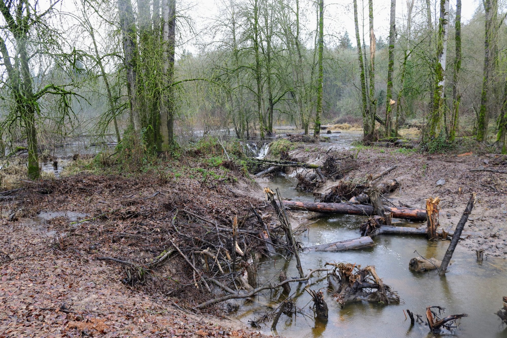 Dalton Lake bridge restoration st. helens oregon columbia county northwest