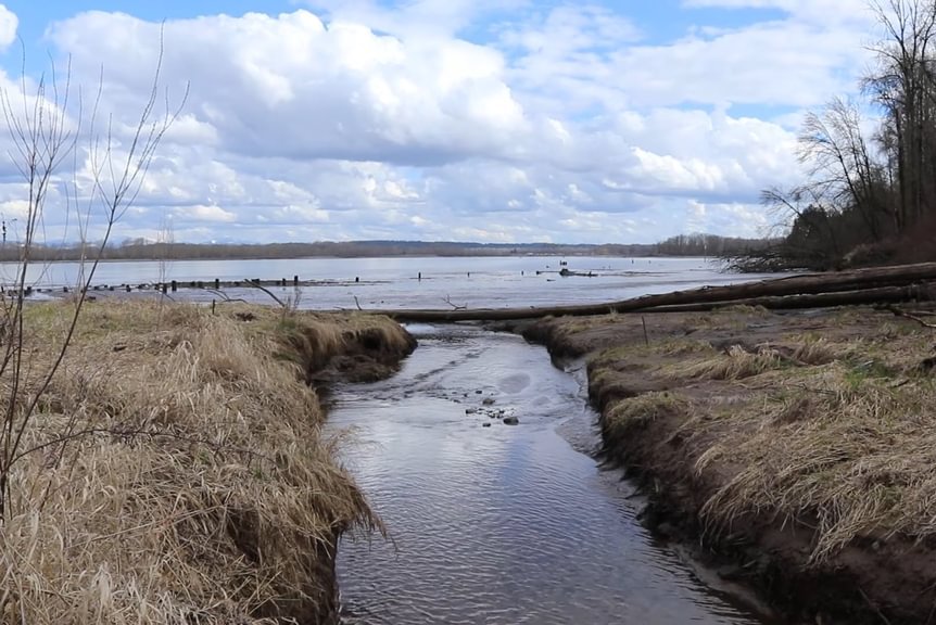Dalton Lake bridge restoration st. helens oregon columbia county northwest