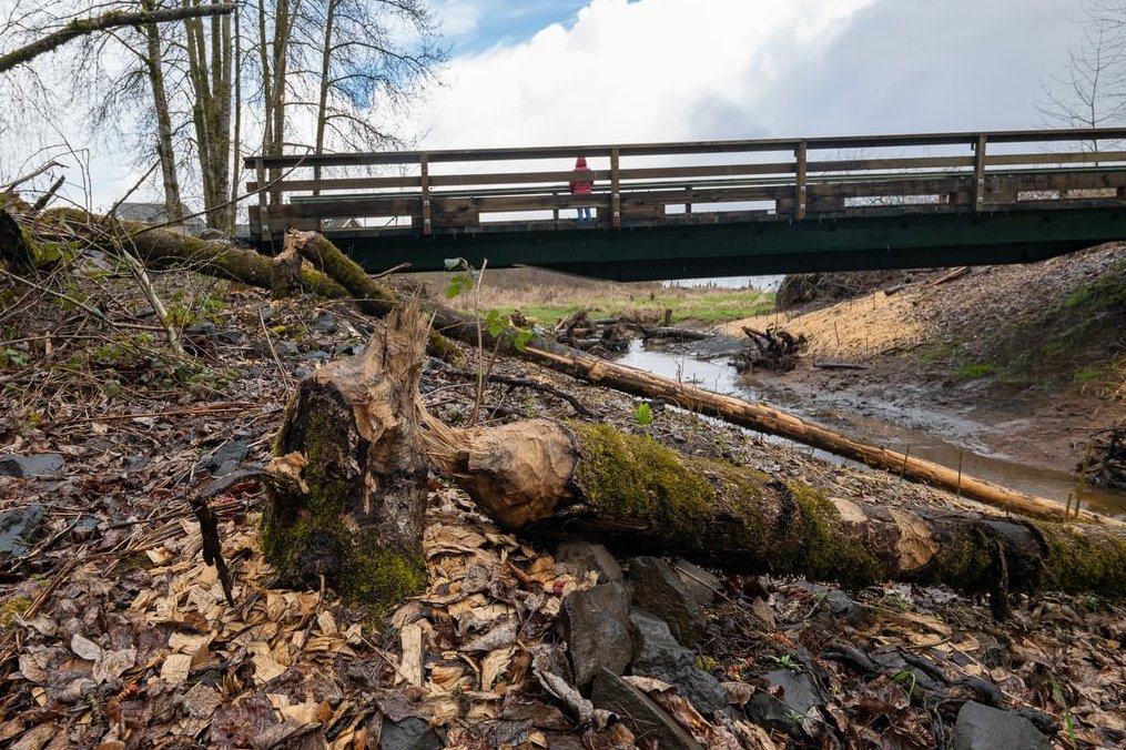 Dalton Lake bridge restoration st. helens oregon columbia county northwest