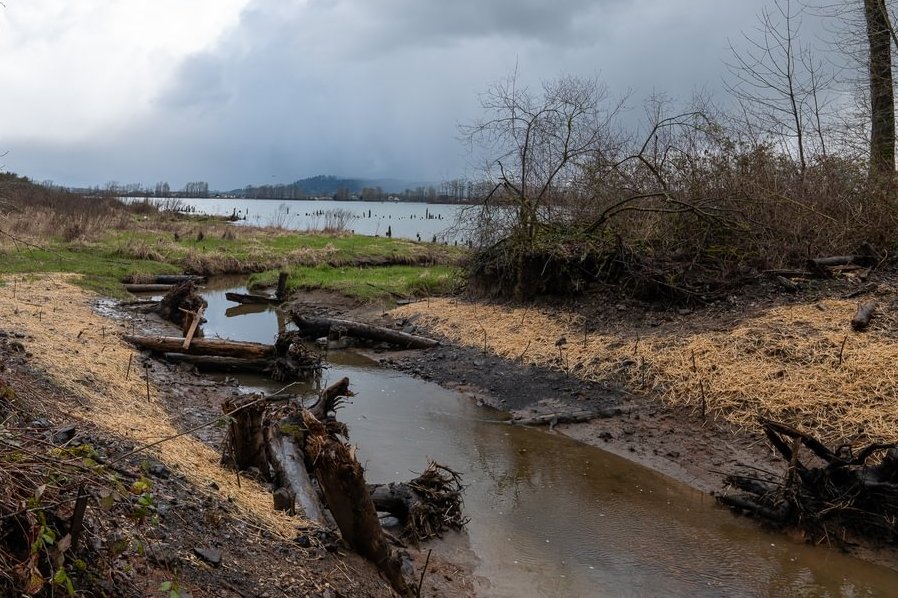 Dalton Lake bridge restoration st. helens oregon columbia county northwest