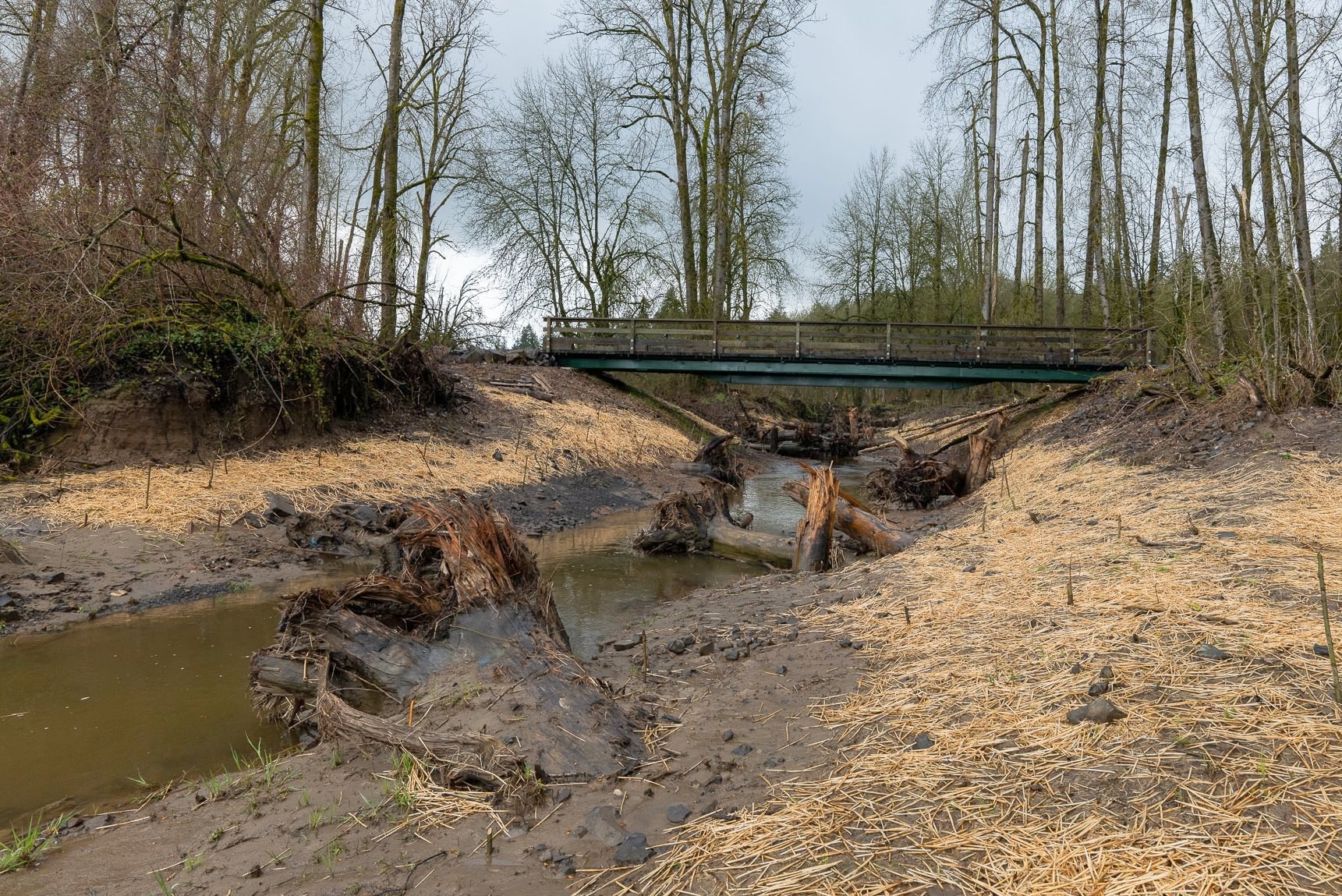 Dalton Lake bridge restoration st. helens oregon columbia county northwest