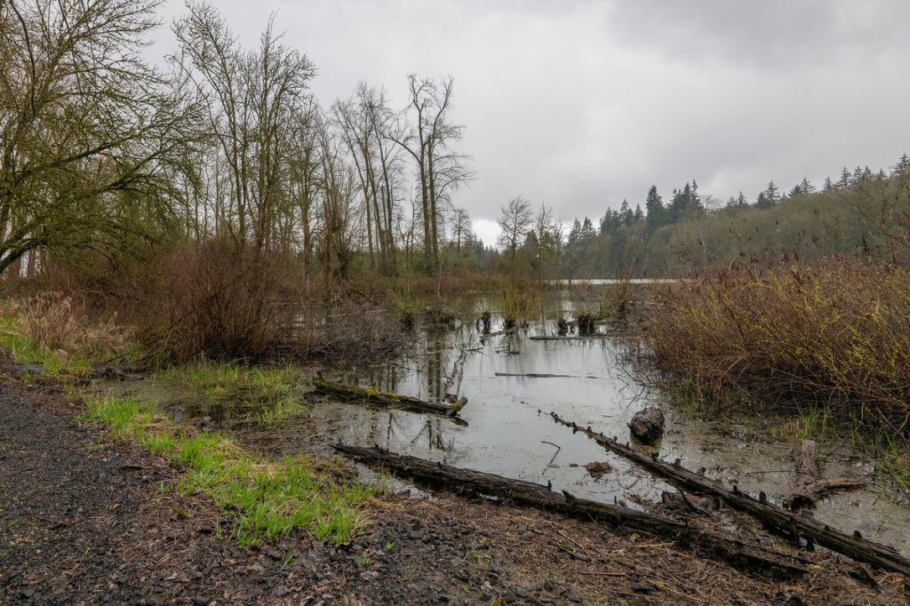 Dalton Lake bridge restoration st. helens oregon columbia county northwest