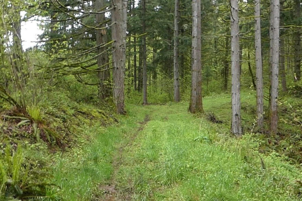 vista park property city of scappoose columbia county bella road oregon