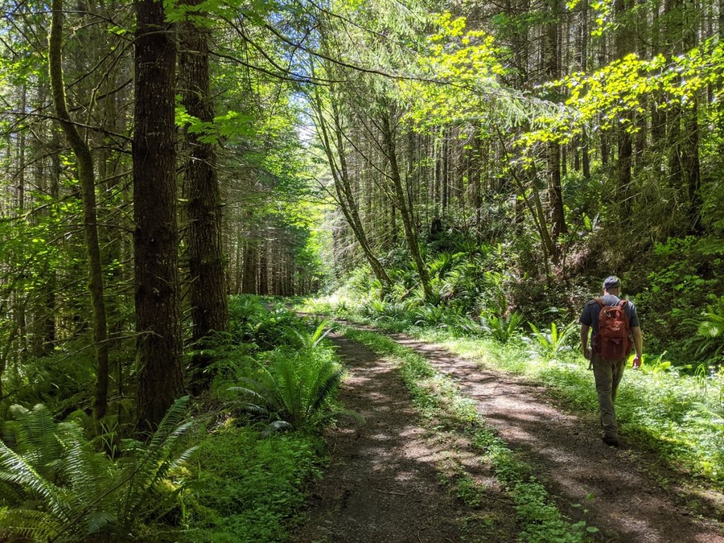 scout lake forest trail clatskanie columbia county oregon northwest