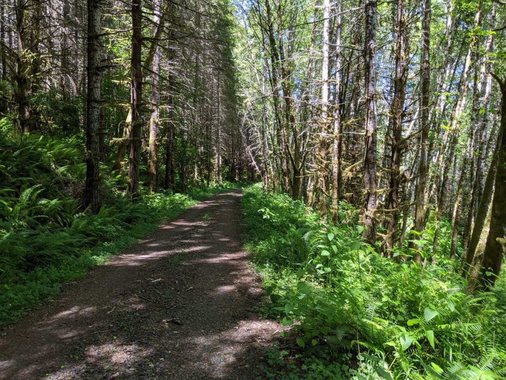 scout lake forest trail clatskanie columbia county oregon northwest