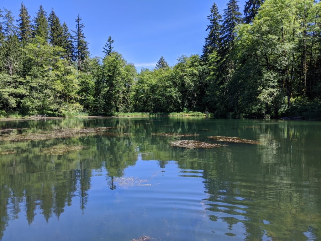 scout lake forest trail clatskanie columbia county oregon northwest