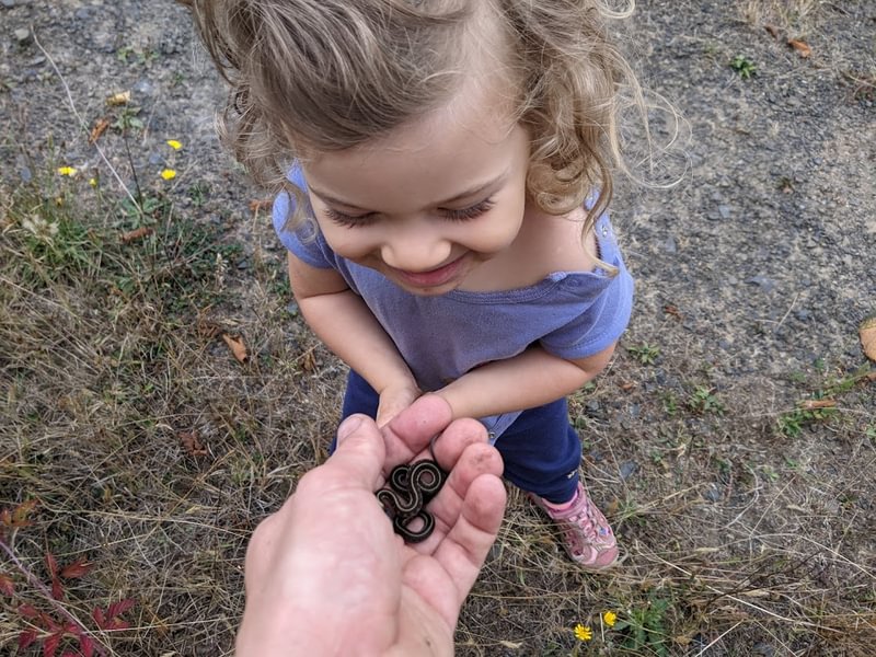 kids herping oregon looking for snakes lizards salamanders frogs