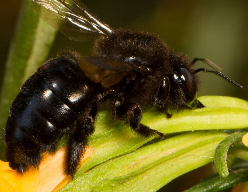 oregon northwest st. helens scappoose columbia county