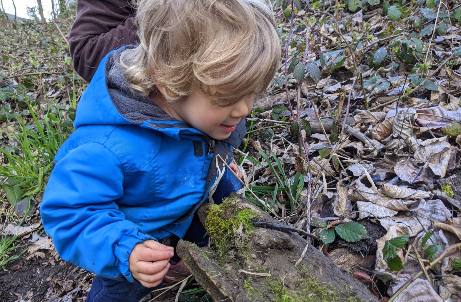 kids herping oregon looking for snakes lizards salamanders frogs