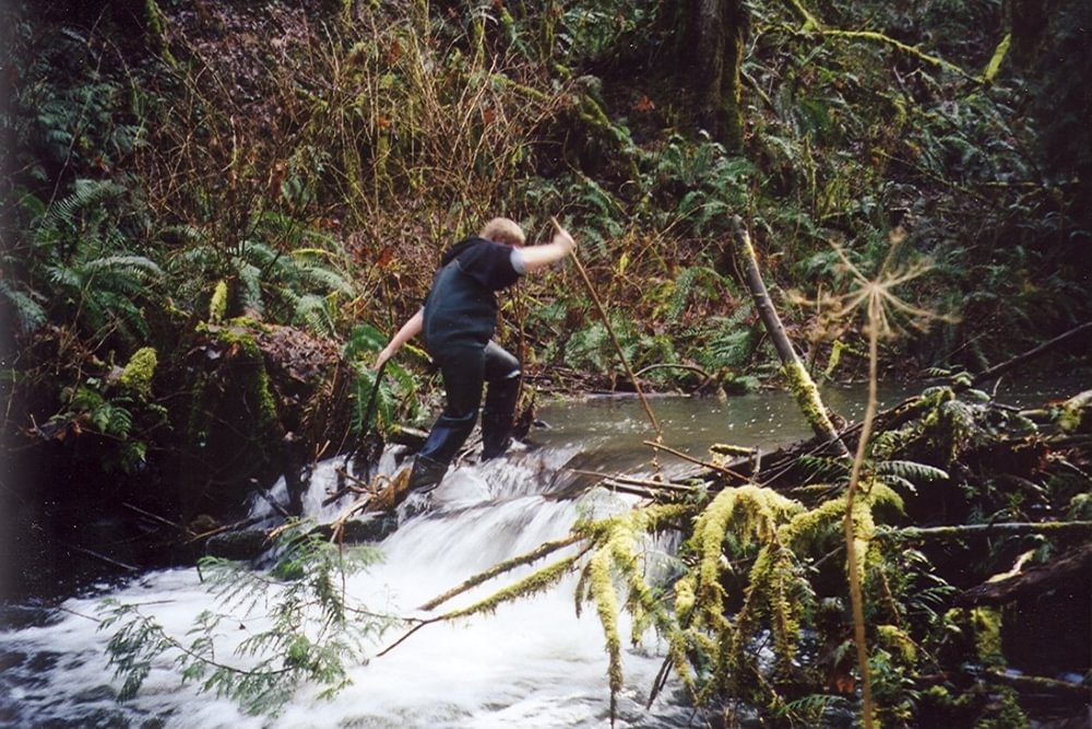 salmon friends of fox creek beaver dam rainier oregon volunteer
