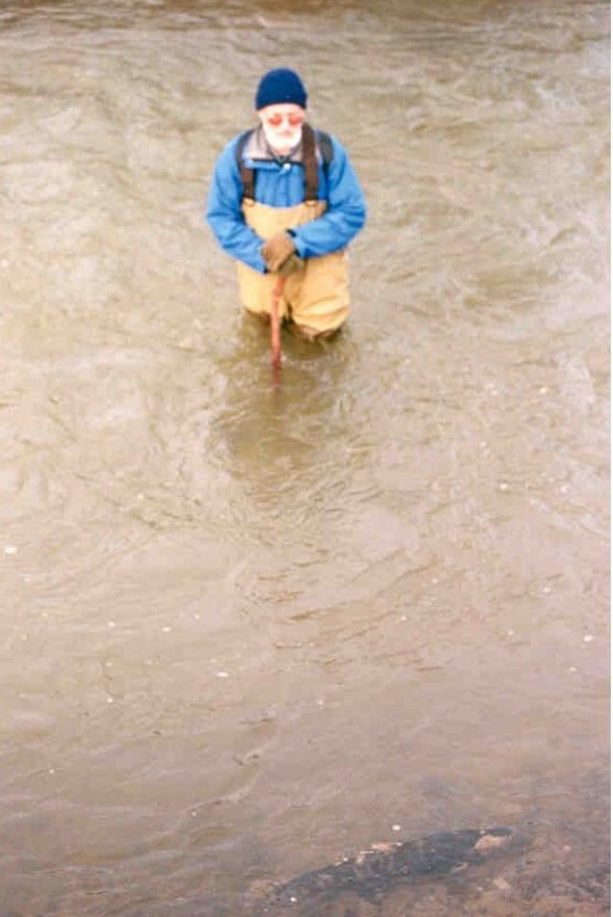 friends of fox creek rainier oregon Salmonoid swimming past a volunteer