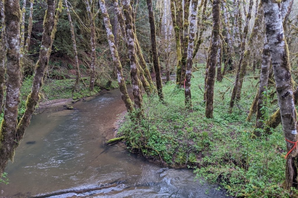 clear creek vernonia oregon columbia county