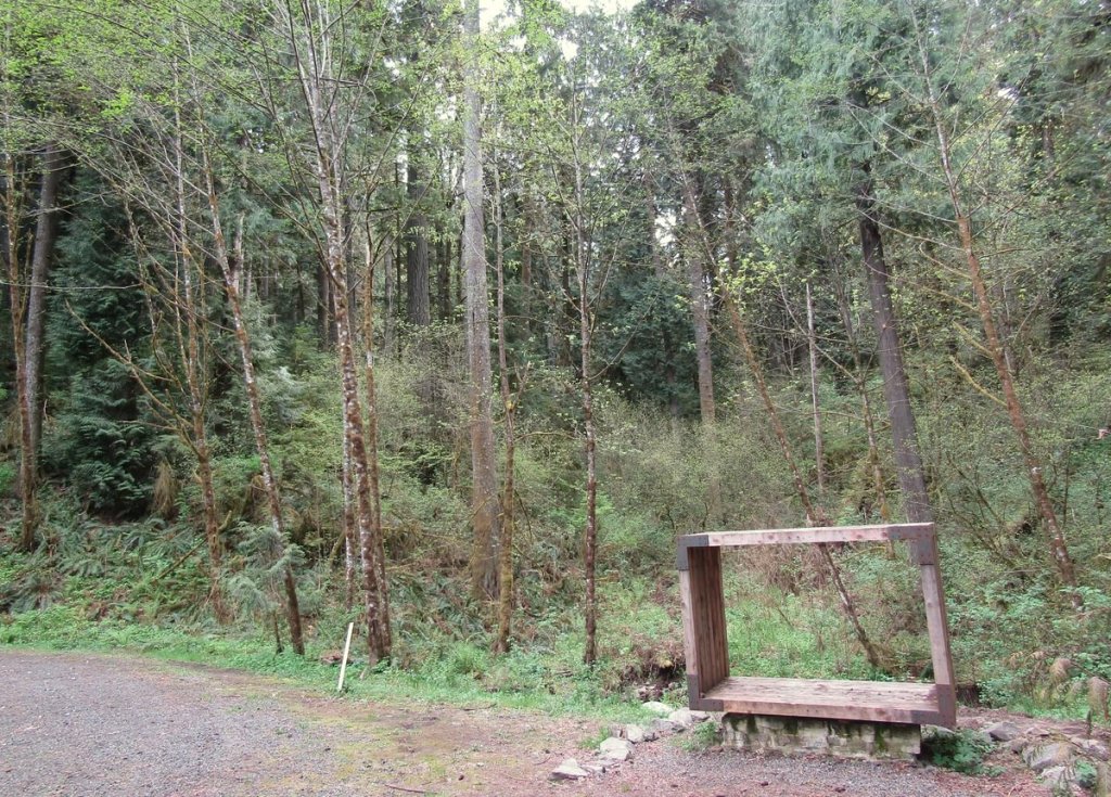 bench Ancient Forest Preserve Burlington Creek Park portland oregon metro