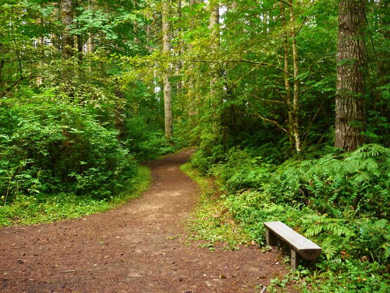 Boomscooter Trail Stub Stewart State Park oregon banks vernonia