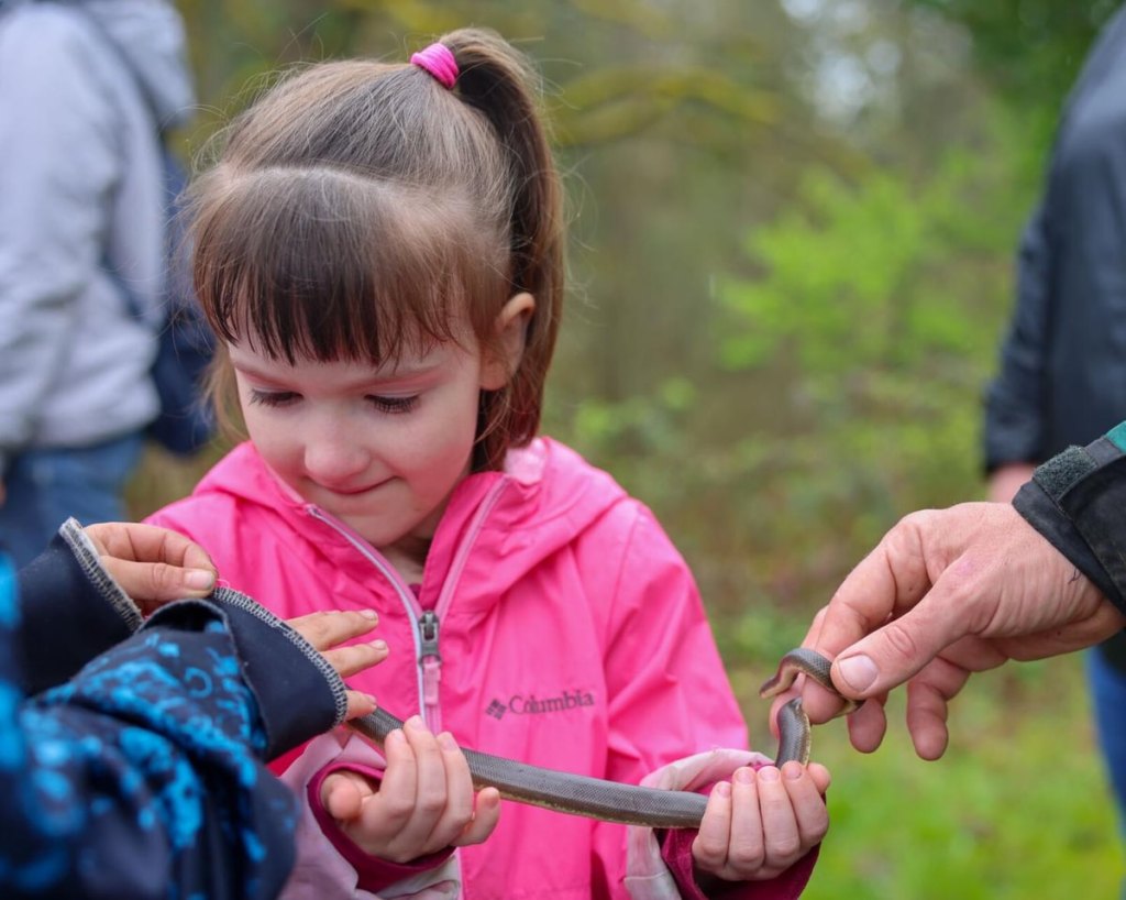 rubber boa children kid columbia county oregon