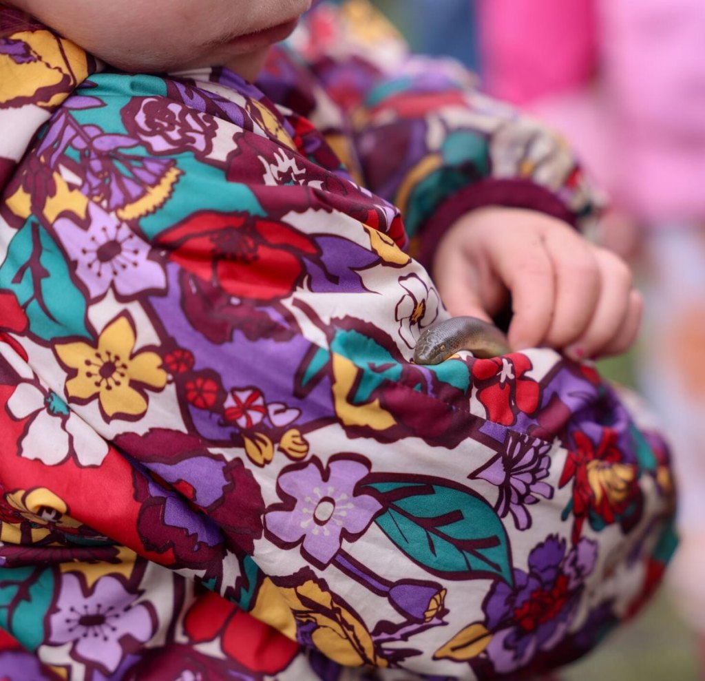 rubber boa children kid columbia county oregon