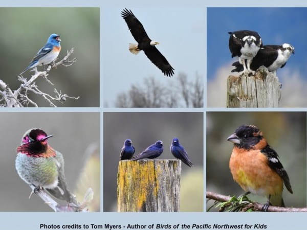 July Bird Forum with the Scappoose Bay Watershed&nbsp;Council