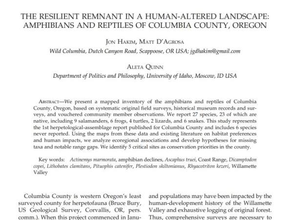 The study is published! Part 1: What animals did we&nbsp;find?