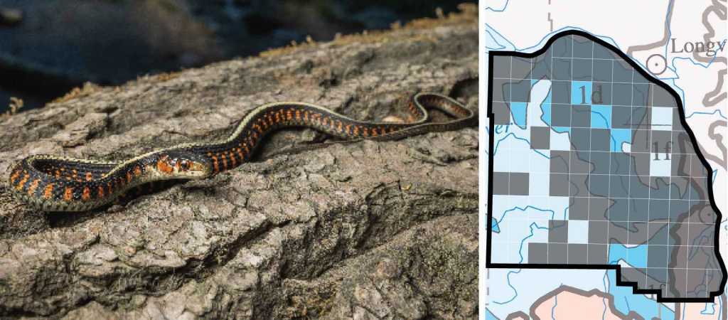 common garter snake distribution columbia county oregon