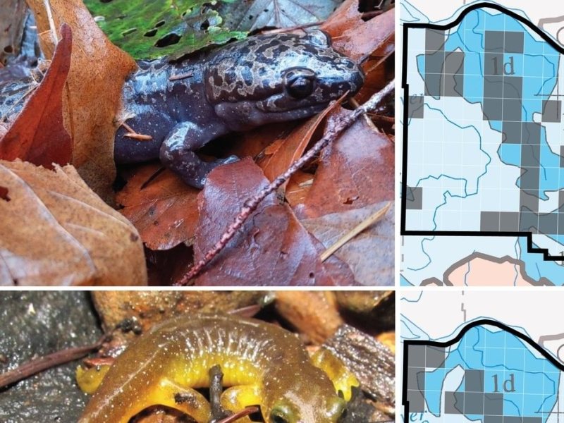 The study is published! Part 2: Where are these animals&nbsp;found?