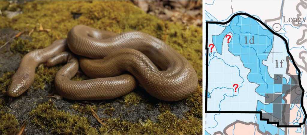 Northern Rubber Boa distribution columbia county oregon