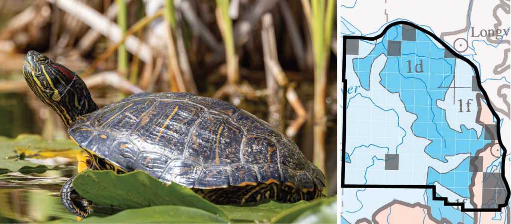 red-eared slider distribution columbia county oregon