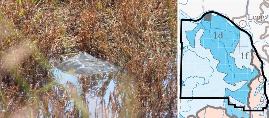 Snapping Turtle distribution columbia county oregon