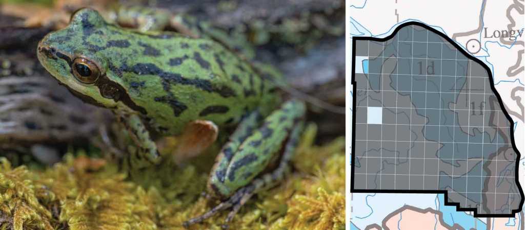 Pacific Chorus Frog distribution columbia county oregon