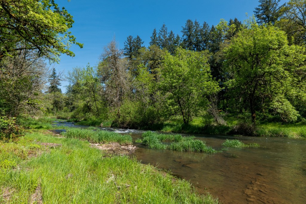 Milton Creek Boise Cascade