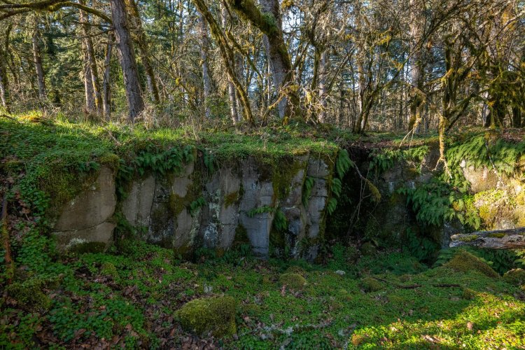 Basalt outcrop in the wilderness area of St. Helens Industrial Business Park oregon