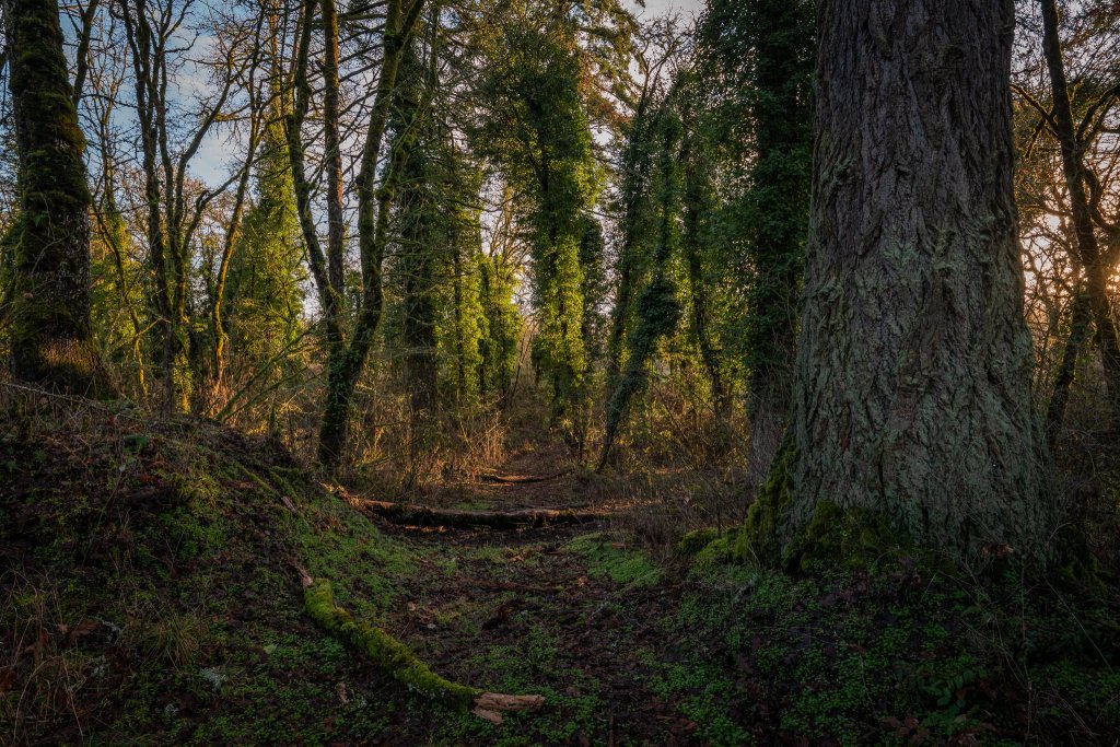 St. Helens Industrial Business Park oregon
