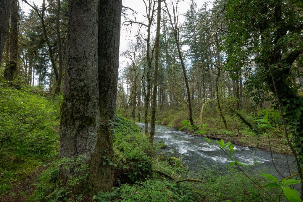 Milton Creek Boise Cascade