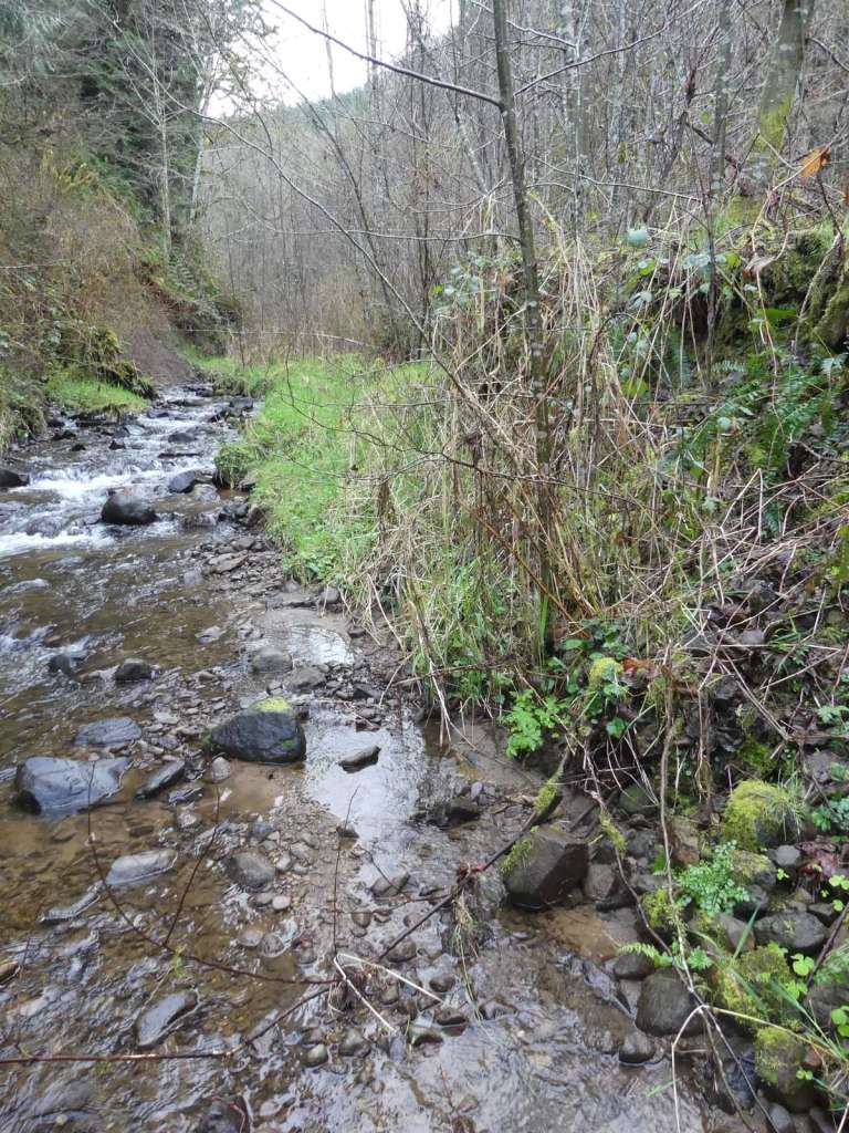 graham creek marshland clatskanie columbia county oregon