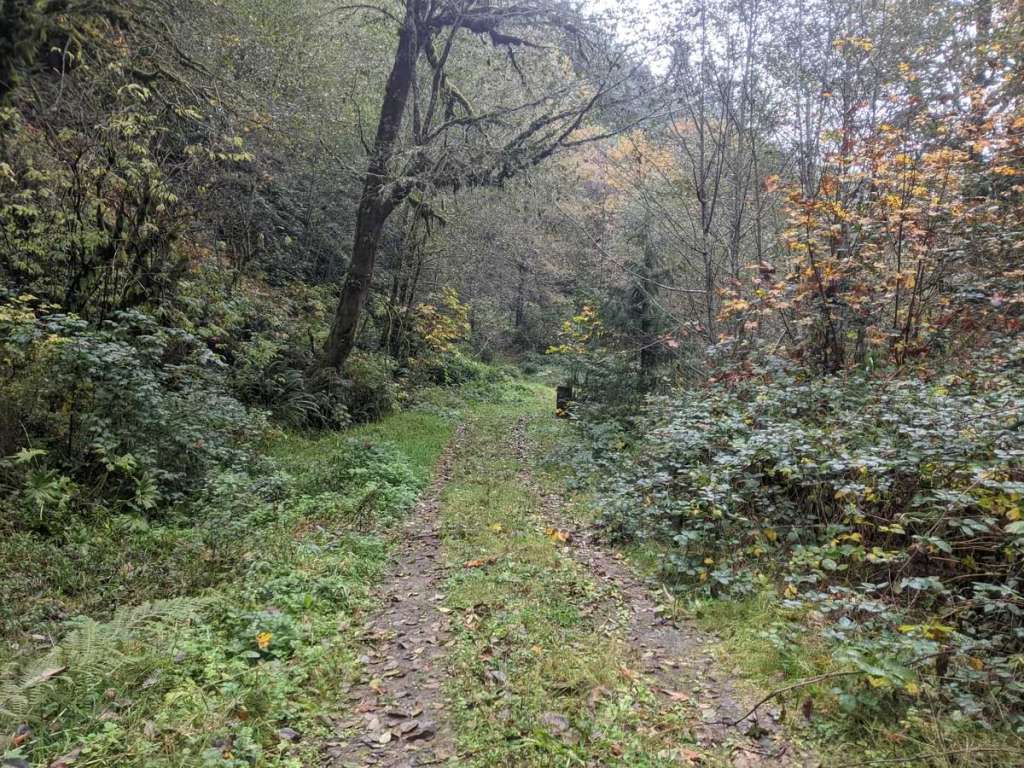 graham creek marshland clatskanie columbia county oregon