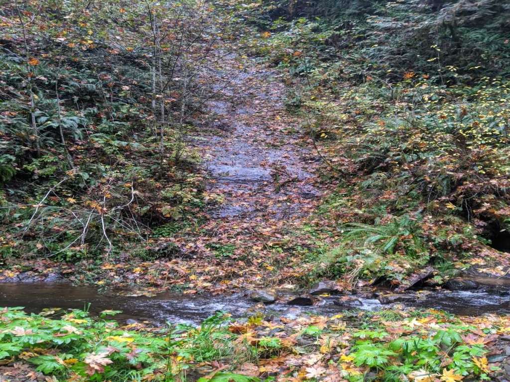 graham creek marshland clatskanie columbia county oregon