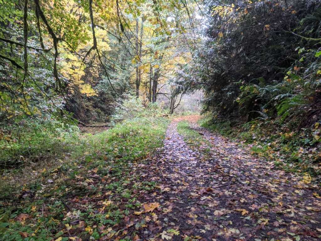 graham creek marshland clatskanie columbia county oregon