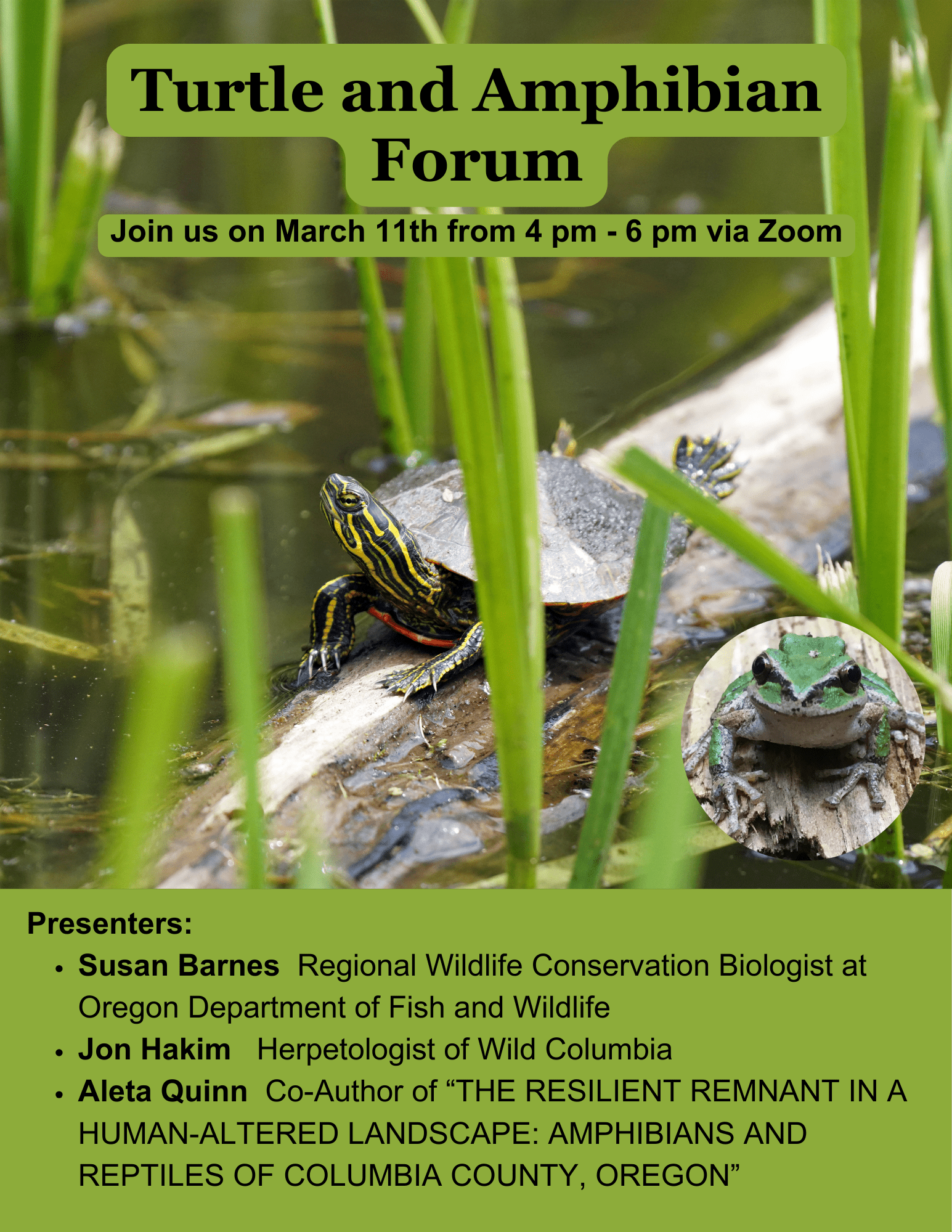 turtle amphibian forum scappoose bay watershed council