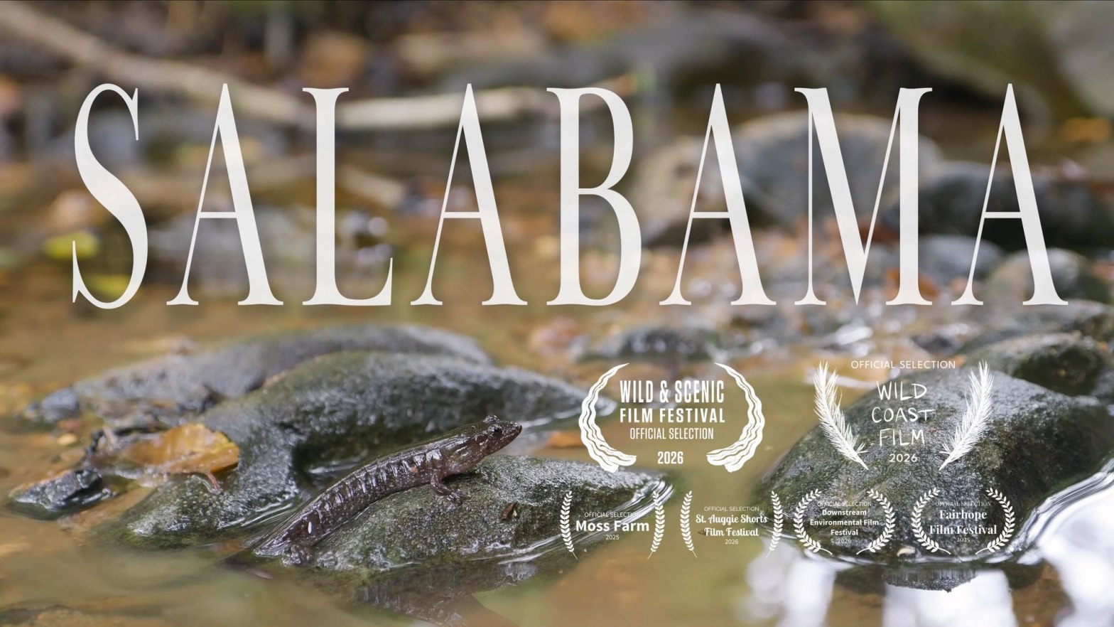 Salabama nicolas nico hess alabama salamanders
