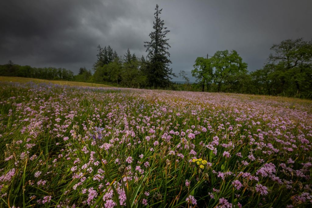 Liberty Hill Bluff St. Helens Oregon columbia County