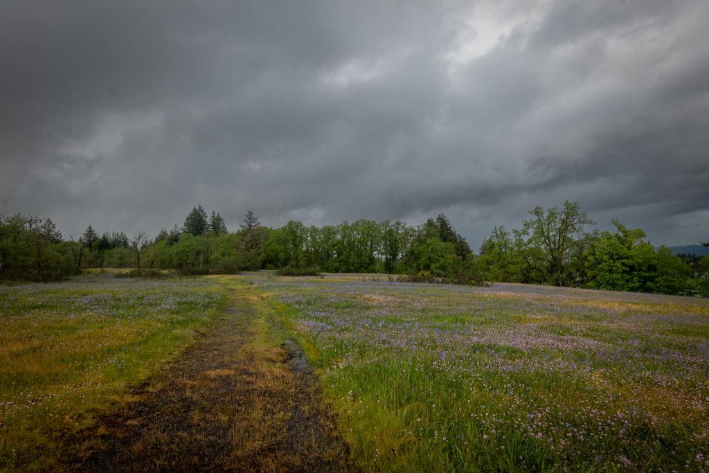 Liberty Hill Bluff St. Helens Oregon columbia County